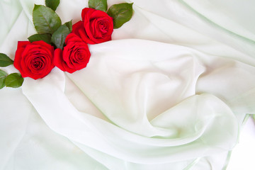Three red roses lie on the soft green fabric