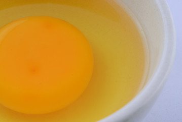Cracked egg shell with yolk and protein