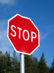 Дорожный знак Стоп на фоне леса и голубого неба