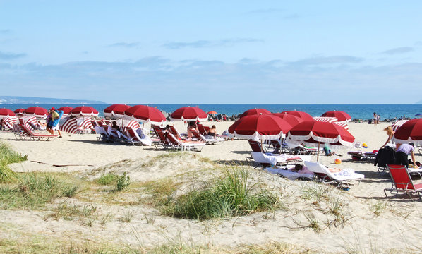 vacationers enjoying at the beach