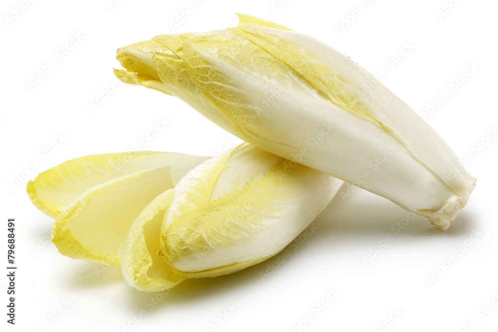 Sticker endive group