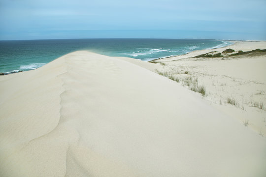 Desert dunes in De hoop nature reserve