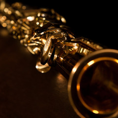 Fragment Soprano Saxophone in dark colors