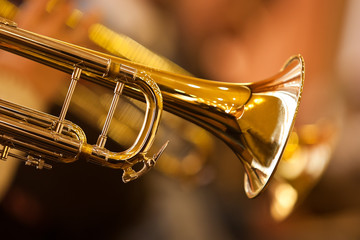 Fototapeta na wymiar Fragment trumpet closeup
