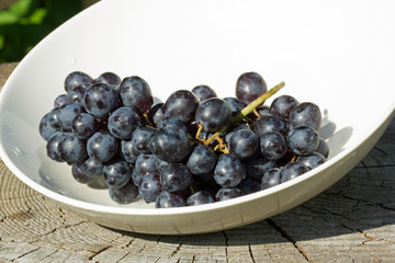 синий виноград