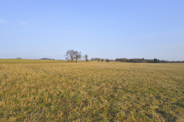 field