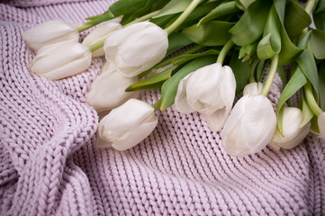 white tulips bouquet on knitted texture background