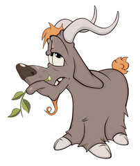 Goat. Cartoon