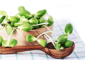 Organic sunflower sprouts in wood cup on white background