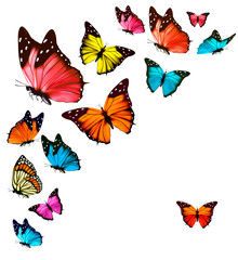 Fototapety  Tło z kolorowymi motylami. Wektor.