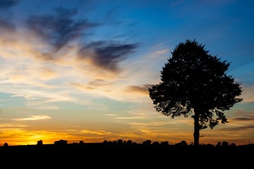 Fototapeta na wymiar Sunset over rural field