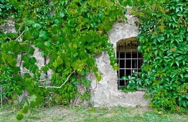 Barred window