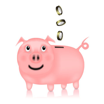 Hucha cerdo malla de degradado con euros