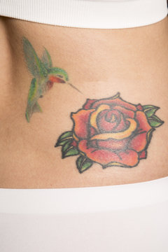 rose and hummingbird tattoo close