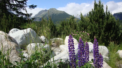 Tatry Szczyrbskie Pleso © manek79