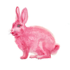 watercolor pink fluffy rabbit