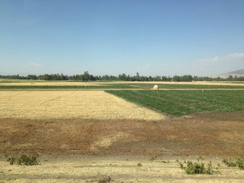 Coltivazioni africane