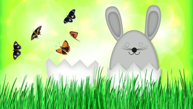 Frohe Ostern Osterhase Video Animation
