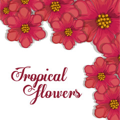 Tropical flowers design