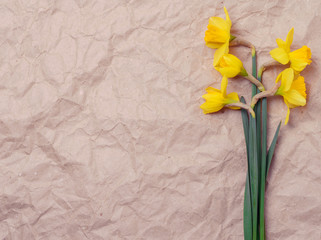 bouquet of yellow daffodils on crumpled paper