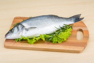 Raw seabass