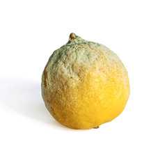 citron moisi