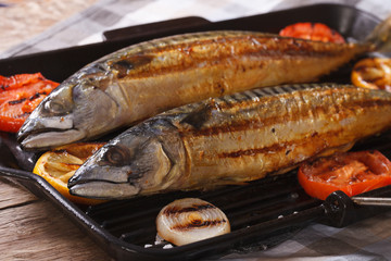 sea fish grilled mackerel and vegetables closeup. Horizontal