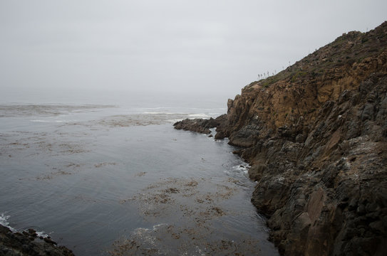 Beautiful Water And Rocks Near La Bufadora 