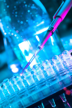 Closeup on tools for DNA amplification