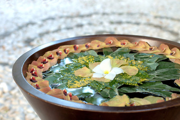 Schale mit Wasser und Blüten in einem Spa