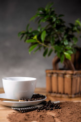 Coffee, ambient saturated home concept