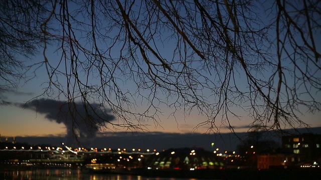 Evening city, tree branches on sky background