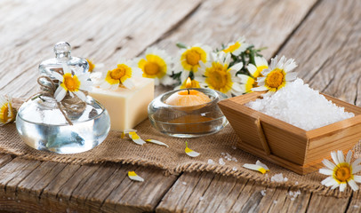 spa theme object of chamomile