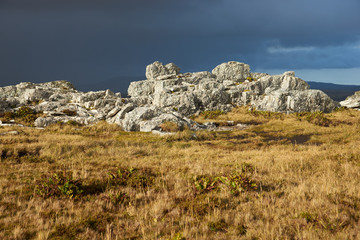 Wireless Ridge