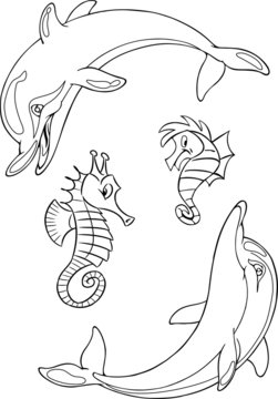 seahorses and dolphins