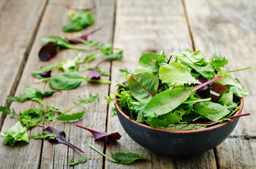 Obraz na płótnie Canvas mix salad Romaine, arugula, spinach, mizuna, chard, oak salad