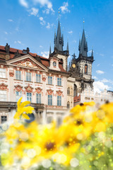 Fototapeta premium Prague main square in summer