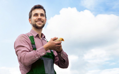 Fototapete bei efototapeten.de bestellen   