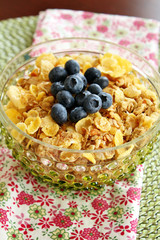 A bowl of breakfast cereal topped with blueberries