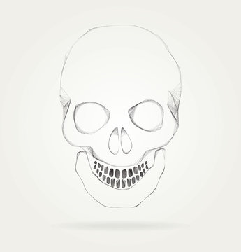 The symbol of the skull