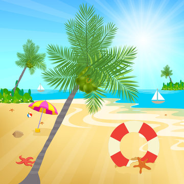 coconuts and other beach elements on sea shore