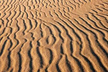 Dunes at sunrise landscape