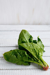 Fresh spinach leaves on the boards