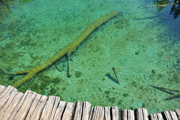 Wooden Bridge over a Pond in Plitvice National Park