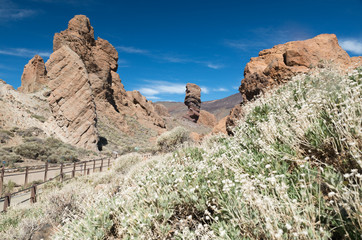 Fototapeta premium Roque Nublo auf Teneriffa