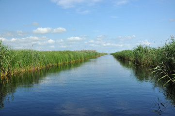 Water chanel in the Danube delta, Romania