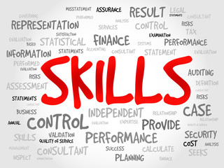 SKILLS word cloud, business concept