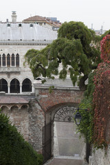 Fototapeta premium Il salice del Castello di Udine