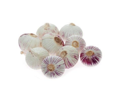 single clove garlic