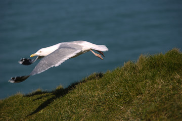 Normandie